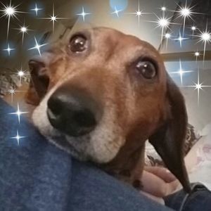 Meet your Posher, Katherine